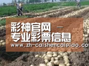种植基地八
