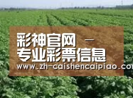 种植基地五(图1)
