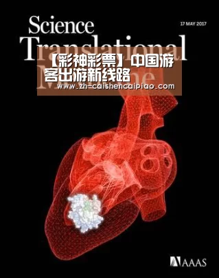 【彩神彩票】中国游客出游新线路(图4) 彩神彩票