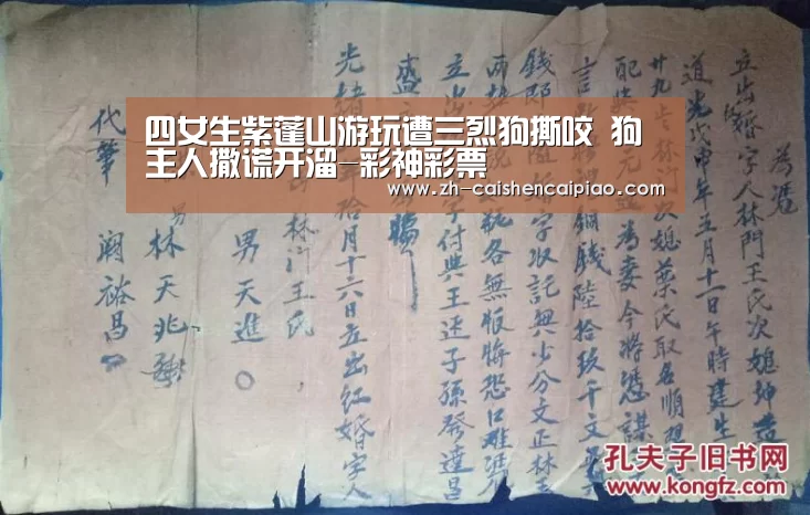 四女生紫蓬山游玩遭三烈狗撕咬 狗主人撒谎开溜-彩神彩票(图4) 彩神彩票
