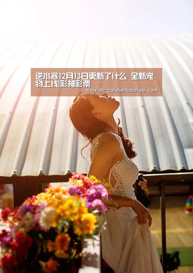 彩神彩票